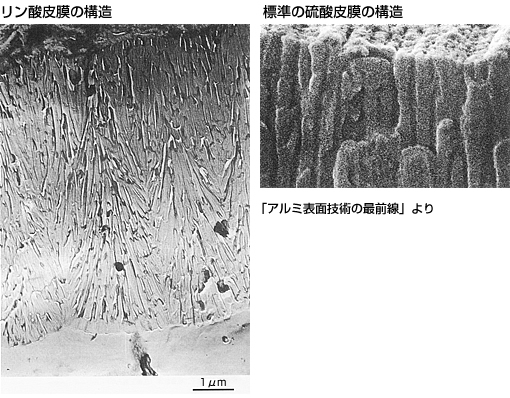 リン酸に対しての硫酸皮膜の比較：写真