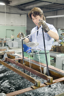立石 直樹：写真