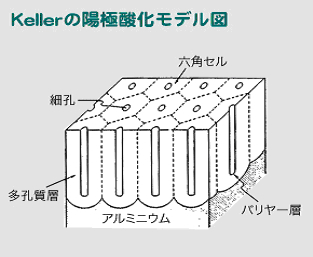 Kellerの陽極酸化モデル図
